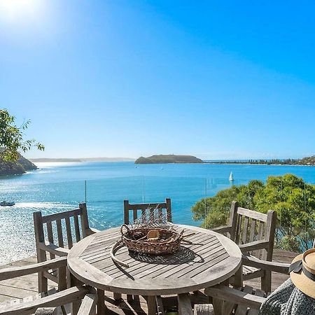 Vila Cape Mackerel Cabin With Magic Palm Beach & Pittwater Views Great Mackerel Beach Exteriér fotografie